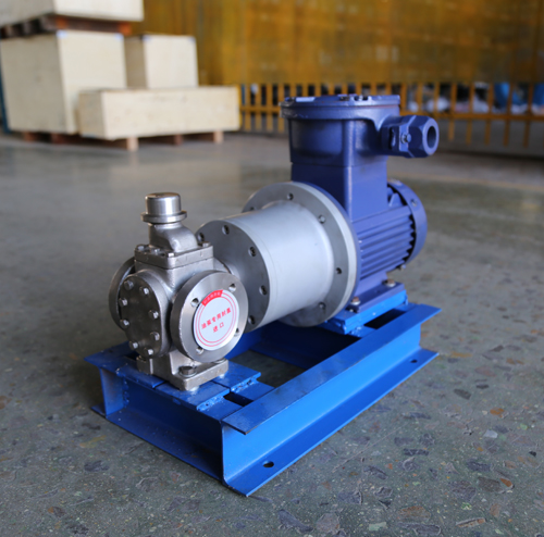 圓弧齒輪泵YCB10-1.6整機、配磁力聯(lián)軸器.JPG